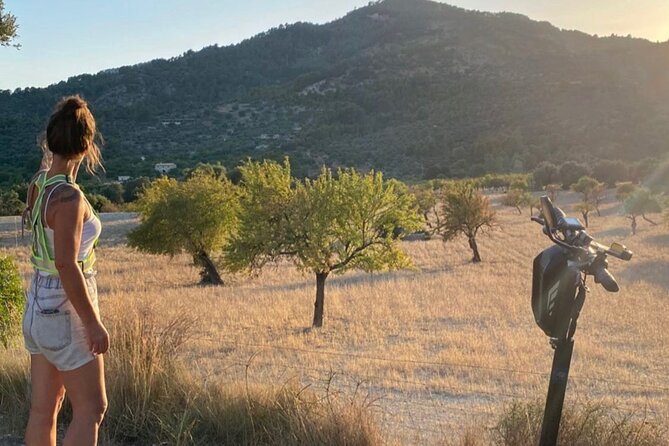 Self Guided E Scooter Brunch Tour in Mallorca Countryside - Key highlights before you go