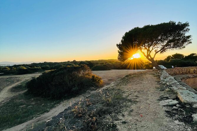 Self-guided Walking Tour and Outdoor Escape Game in Cala Millor, in German - Stop 1 in Punta de nAmer: first clues and your fictional “case folder”