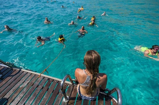 Shared Palma de Mallorca Boat Tour Package - Quick practical tips to get more out of the trip