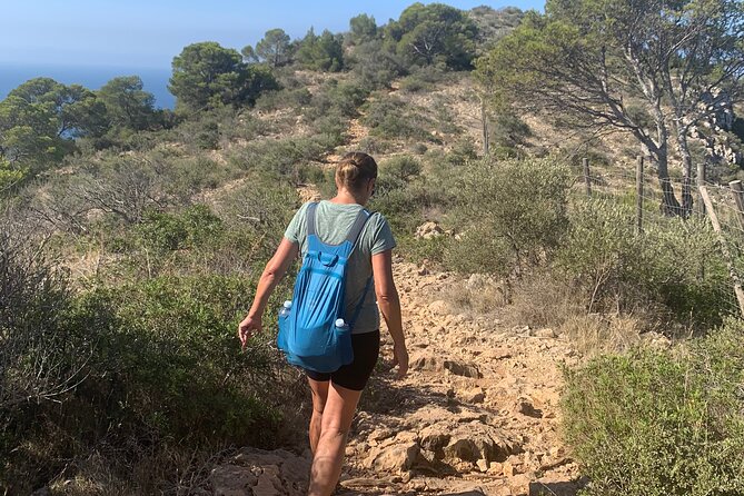 Sierra de Tramuntana hike with small picnic - Price and value: what $85.55 covers
