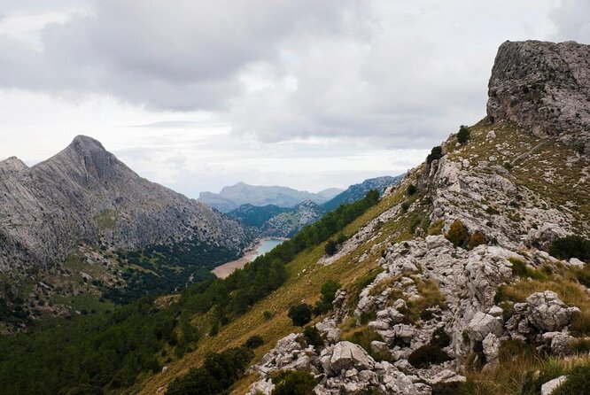 Small-Group Cliff Jumping Experience in Mallorca - Language and guides: English offered, Spanish always present