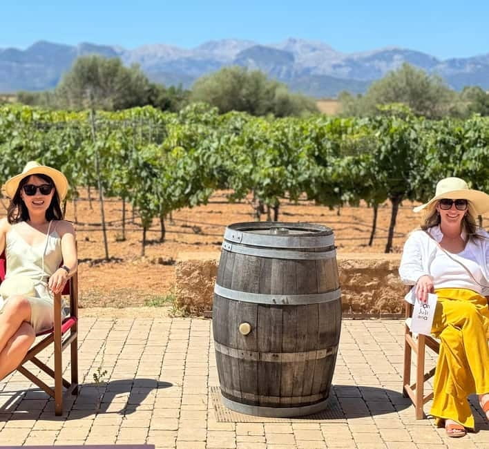 Small group- Exclusive Olive Oil & Wine Tour Mallorca - Key things to know before you go