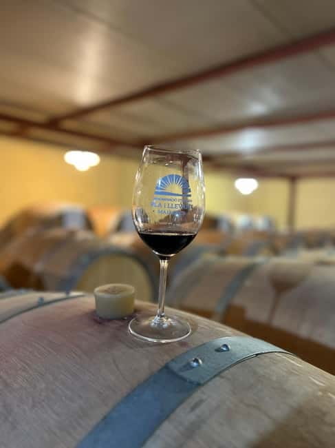 Small group- Exclusive Olive Oil & Wine Tour Mallorca - Price and logistics: is $194 a fair spend?