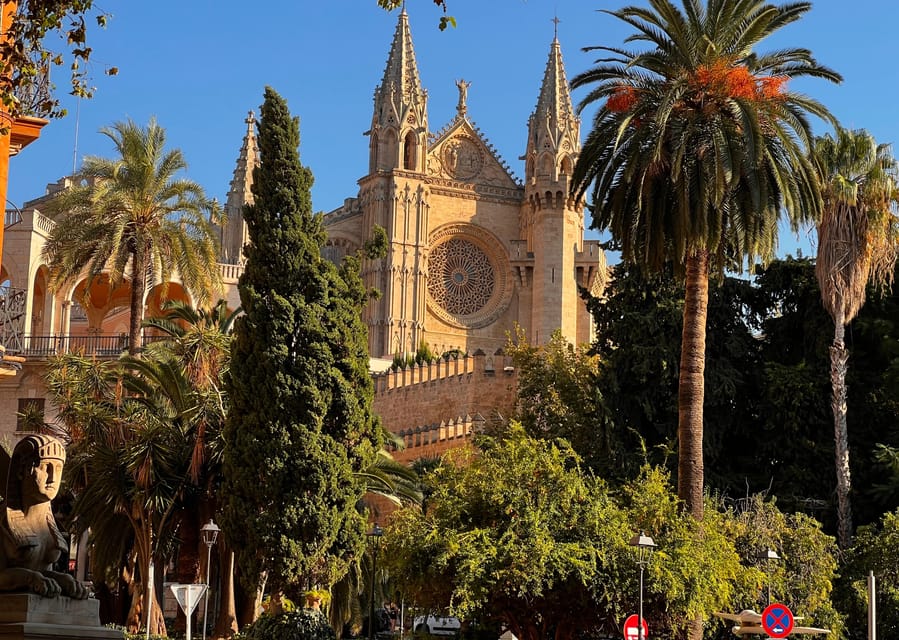 Small group- Exclusive Olive Oil & Wine Tour Mallorca - Alcohol rules, age limits, and who this day suits best