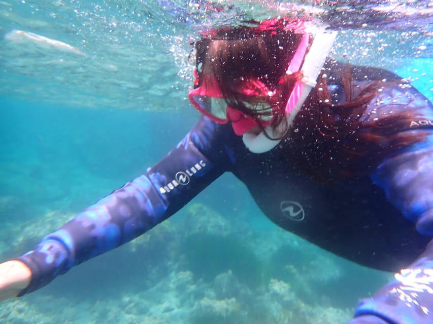 Snorkeling guided tours for tha all family! - Family Snorkeling Off Mallorca’s Beaches, Guided the Whole Time