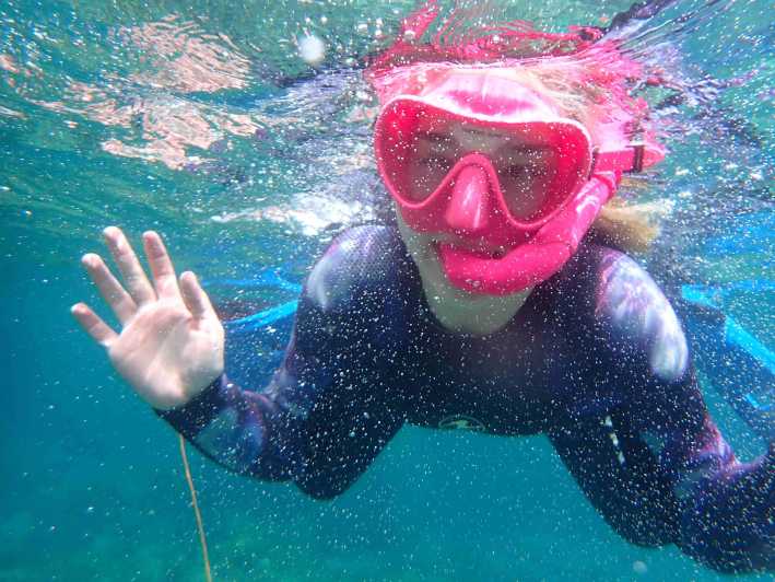 Snorkeling guided tours for tha all family! - The 90-Minute Rhythm: 50 Minutes in the Sea at a Family Pace