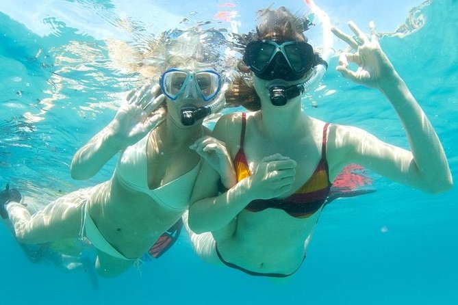 Snorkeling Tour to the Malgrats Islands by boat - Key things to know before you go