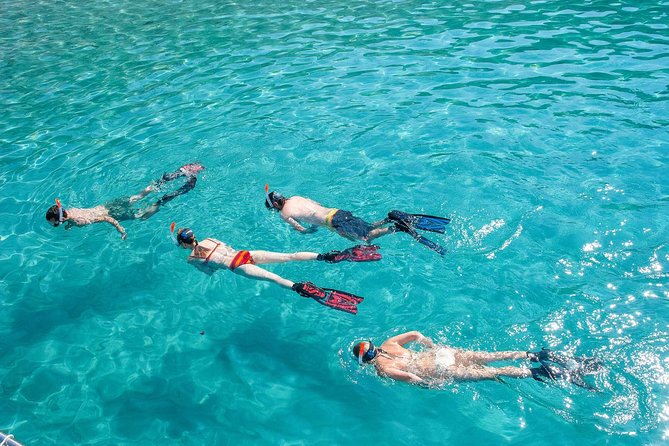 Snorkeling Tour to the Malgrats Islands by boat - Malgrats Marine Reserve: what you’re actually paying for