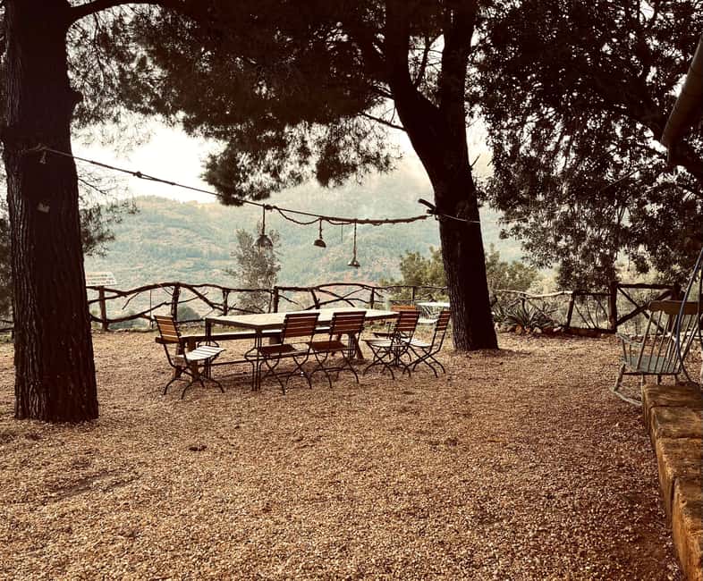 SOLLER: Olive Grove Experience, Oil Tasting & Picnic in the Tramuntana - Preparing a traditional dish and building your picnic