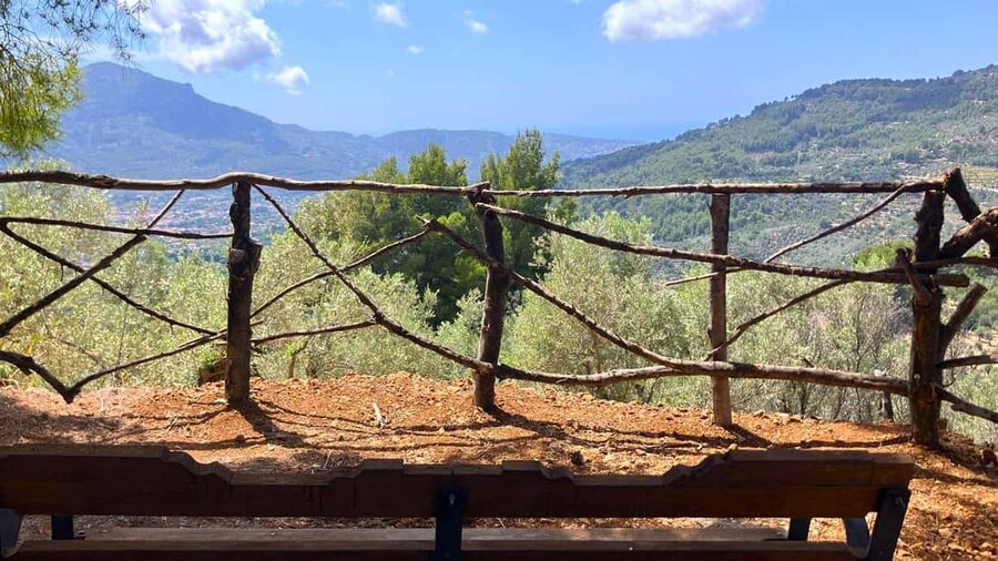 SOLLER: Olive Grove Experience, Oil Tasting & Picnic in the Tramuntana - Who this olive grove visit is best for