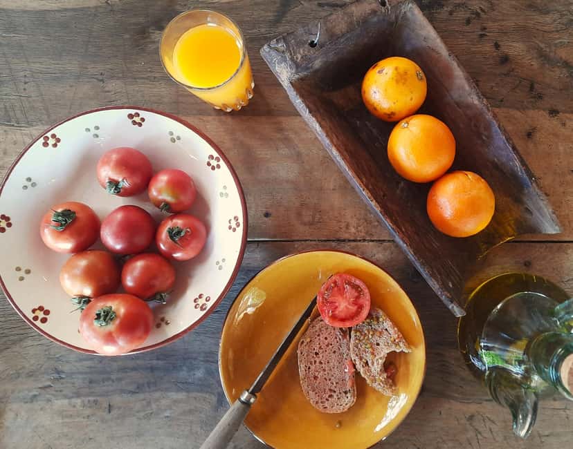SOLLER: Olive Grove Experience, Oil Tasting & Picnic in the Tramuntana - What the timing feels like