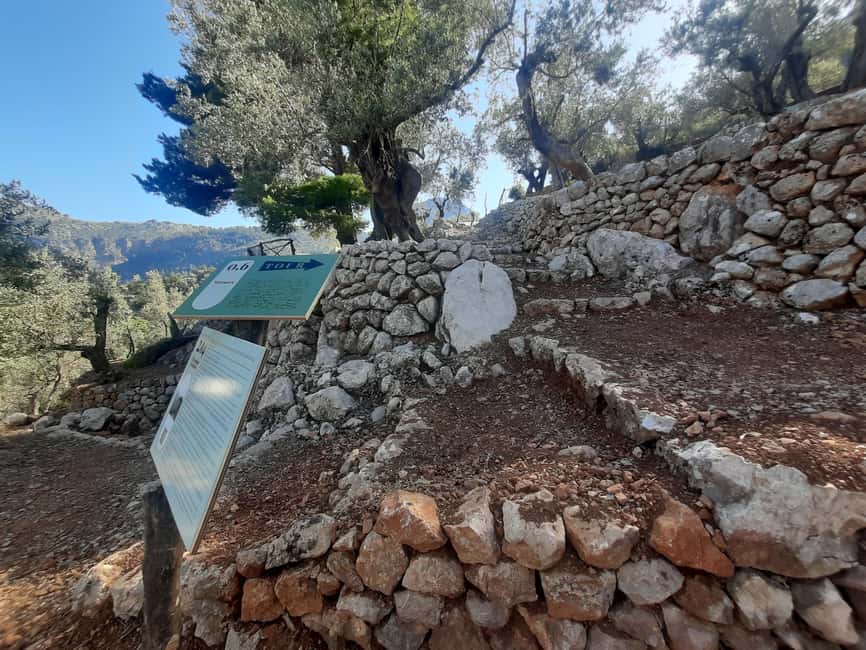 SOLLER: Olive Grove Experience, Oil Tasting & Picnic in the Tramuntana - Entering the olive farm: meet, gear up, and get oriented