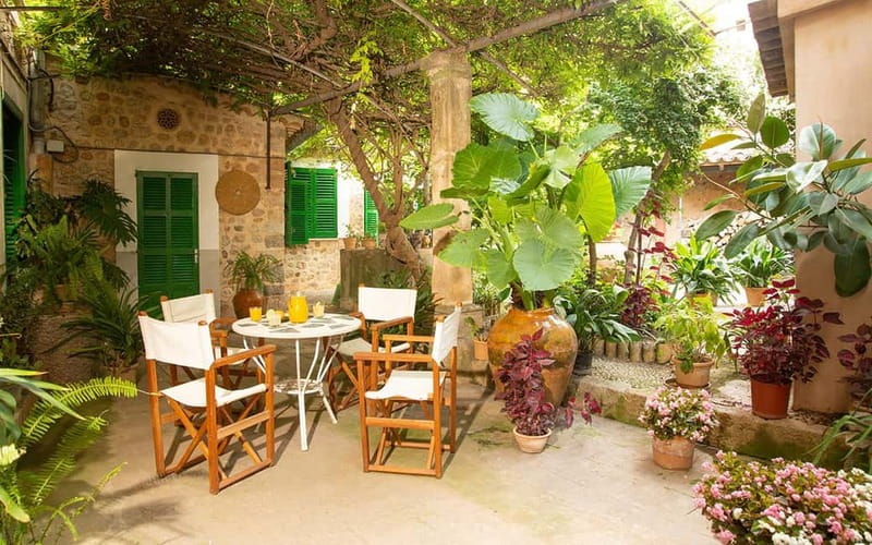 Sóller: Olive Oil Guided Tour and Tasting at Can Det Estate - Entering the 400-Year-Old Can Det House and Garden