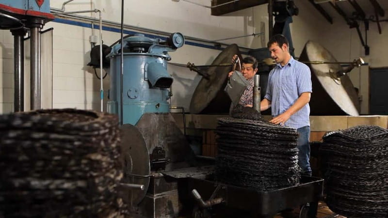 Sóller: Olive Oil Guided Tour and Tasting at Can Det Estate - Price and Value: Why $35 Can Feel Like a Bargain