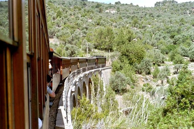 Soller Port with Train and Tram Mallorca Half Day Trip - Starting in Palma, and Why the 9:15 Launch Matters