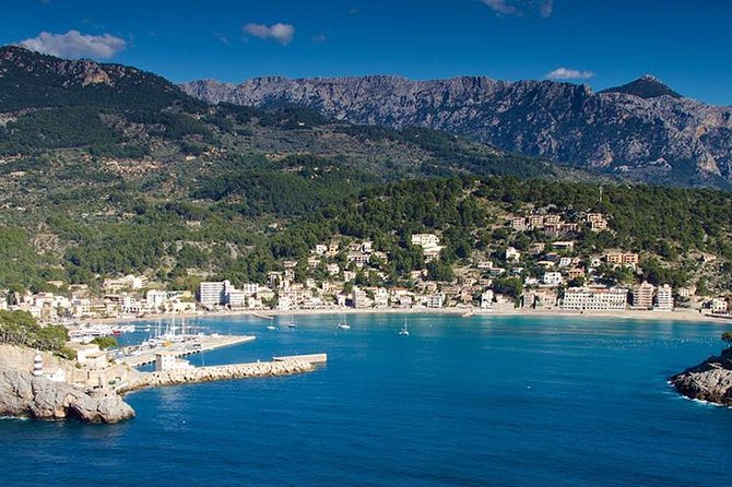 Soller Port with Train and Tram Mallorca Half Day Trip - Port de Sóller Promenade: A Short Visit With Scenic Payoff