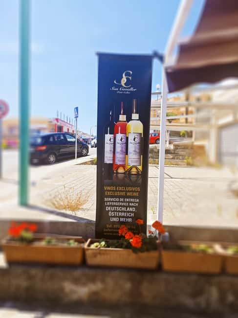 Son Cavaller - Tasting 10 wines from Mallorca - Vinothek Cala Mandia - Key highlights worth your attention