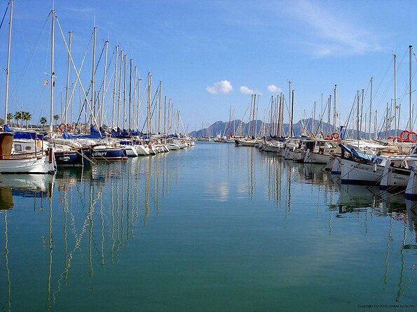 Sunrise Boat Trip in Mallorca with Dolphin-Watching - Key things to know before you go