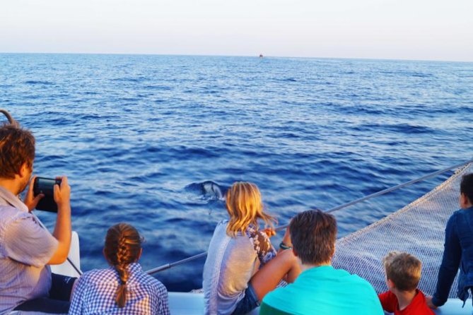 Sunrise Boat Trip in Mallorca with Dolphin-Watching - Why a sunrise cruise beats a later dolphin trip