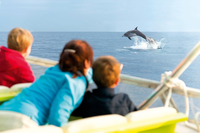 Sunrise Boat Trip in Mallorca with Dolphin-Watching - The 3-hour flow, from check-in to the return buffet