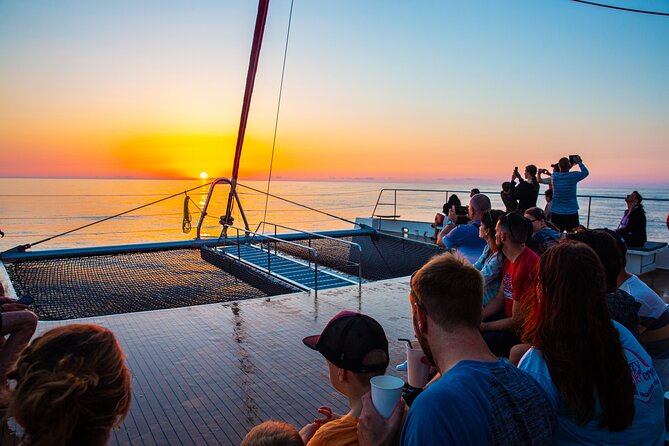 Sunrise Boat Trip in Mallorca with Dolphin-Watching - Stop 1: The No Frills Excursions setup you actually feel on day one