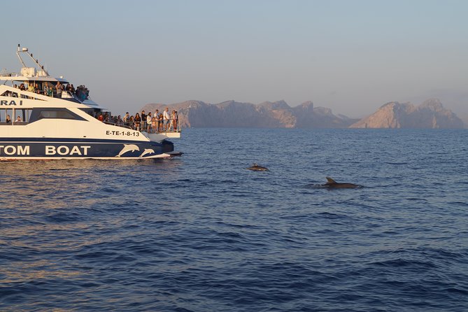 Sunrise Boat Trip in Mallorca with Dolphin-Watching - Stop 2: Port d’Alcúdia, sightseeing plus your first breakfast moments