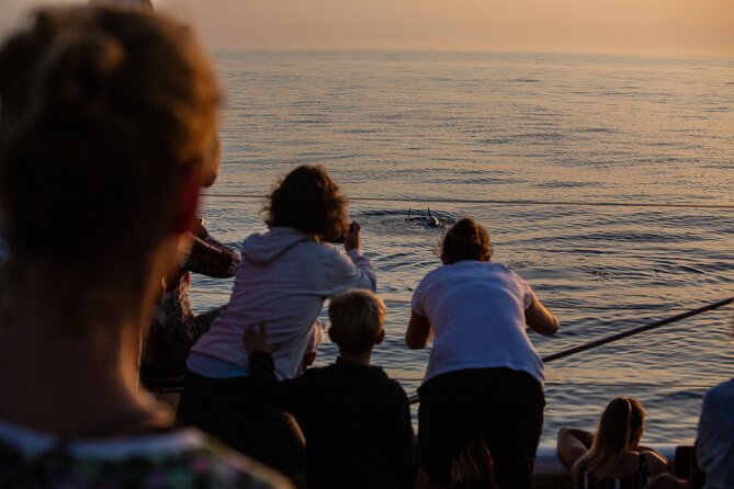 Sunrise Boat Trip in Mallorca with Dolphin-Watching - Cap de Formentor: the sunrise colors and the engine-off dolphin watch