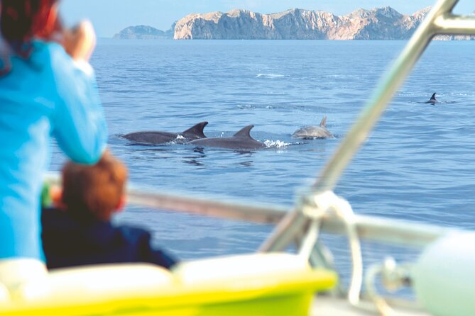 Sunrise Boat Trip in Mallorca with Dolphin-Watching - What you actually eat on board (and whether it’s filling)