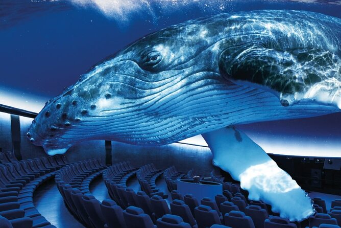 Ticket Palma Aquarium - Key highlights worth planning around