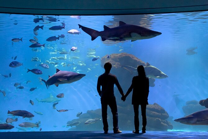 Ticket Palma Aquarium - Palma Aquarium ticket, what a 3-hour visit feels like