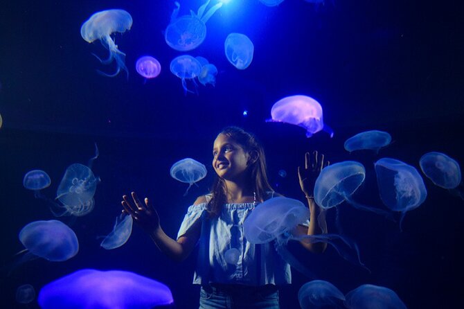 Ticket Palma Aquarium - The whale and shark highlights you should schedule first