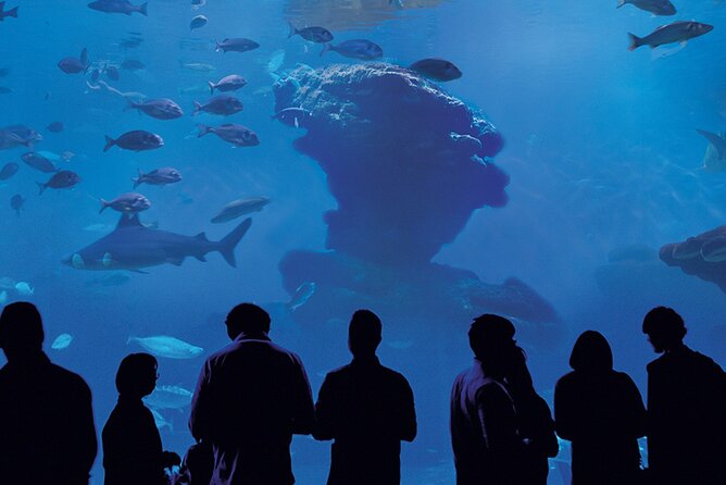Ticket Palma Aquarium - Layout and signage, when it helps and when it trips you up