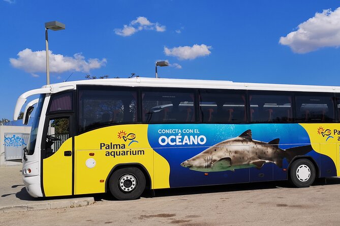 Ticket + Transfer to Palma Aquarium - Quick Hits Before You Go
