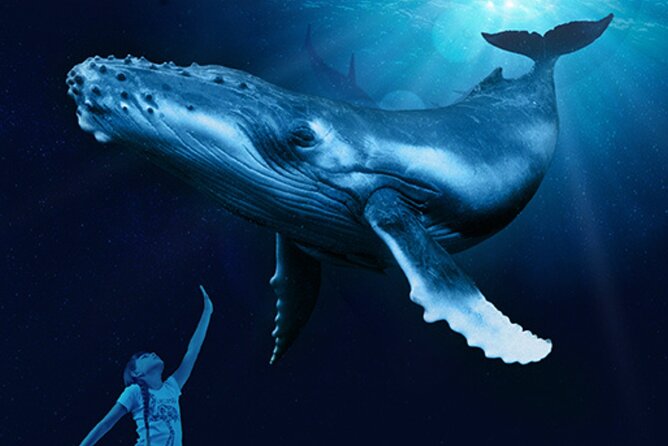 Ticket + Transfer to Palma Aquarium - Families Get Their Own Day: Play Areas and Water Features