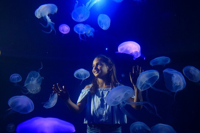 Ticket + Transfer to Palma Aquarium - 3D Cinema and Other Optional Add-Ons