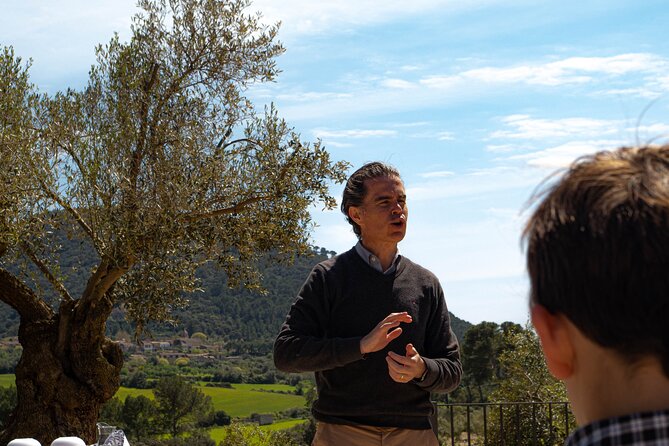 Tour to olive grove and olive mill, oil tasting and snack - What you learn (and what it changes for you)