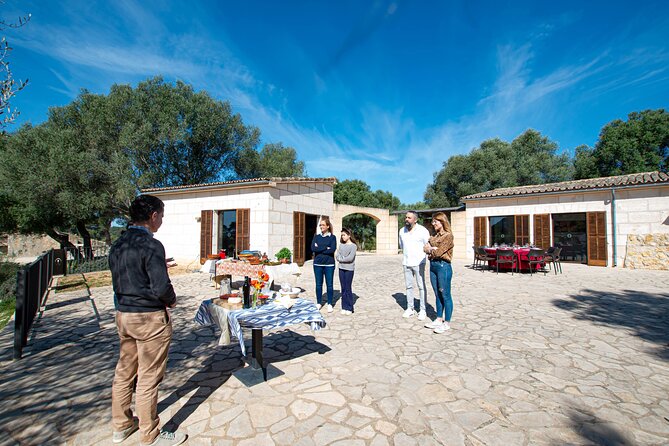 Tour to olive grove and olive mill, oil tasting and snack - Practical planning: how to get the most from the visit