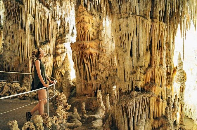 Tour to the Drach Caves from the south of the island - Time in the Cave Area: Cafeteria, Souvenirs, and Picnic Space