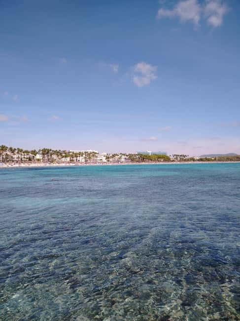 Travel and play tennis in Mallorca - Who This Mallorca Day Works Best For