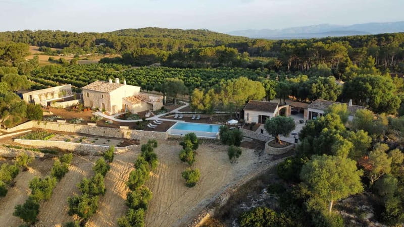 Treurer: Olive Oil Night. Gastronomic experience - Key highlights worth planning around