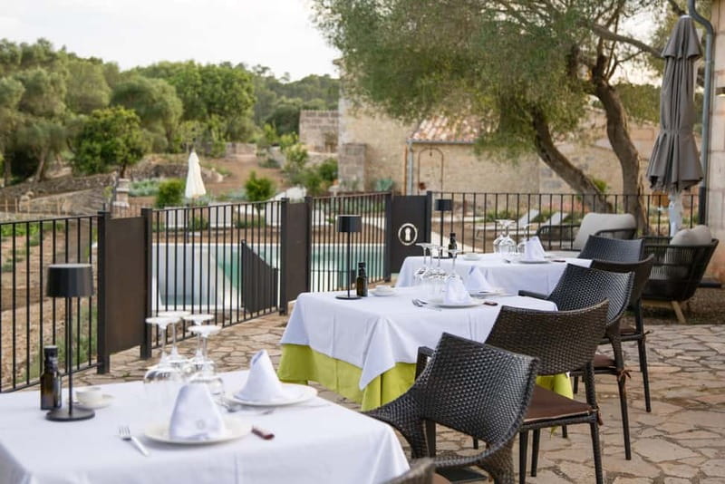 Treurer: Olive Oil Night. Gastronomic experience - Entering Finca Treurer: the guided tour that sets up every bite