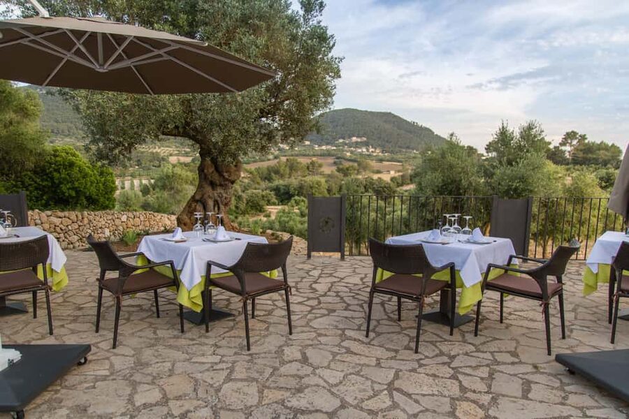 Treurer: Tapas Gourmet and Extra Virgin Olive Oil - Dress code and the vibe at the terrace