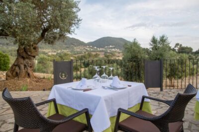Treurer: Tapas Gourmet and Extra Virgin Olive Oil