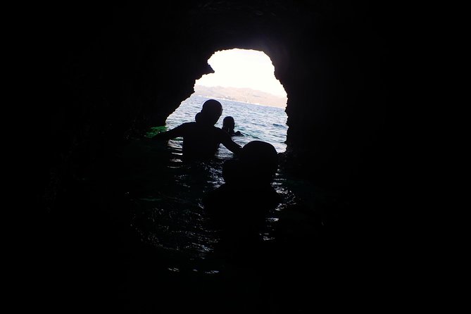 Try adventure, try coasteering - North coast - Small group energy, no long lines for the fun parts