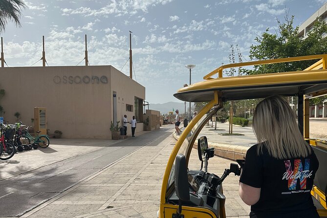 Tuk Tuk Tour in Palma de Mallorca - The main caution: reliability and ticket planning