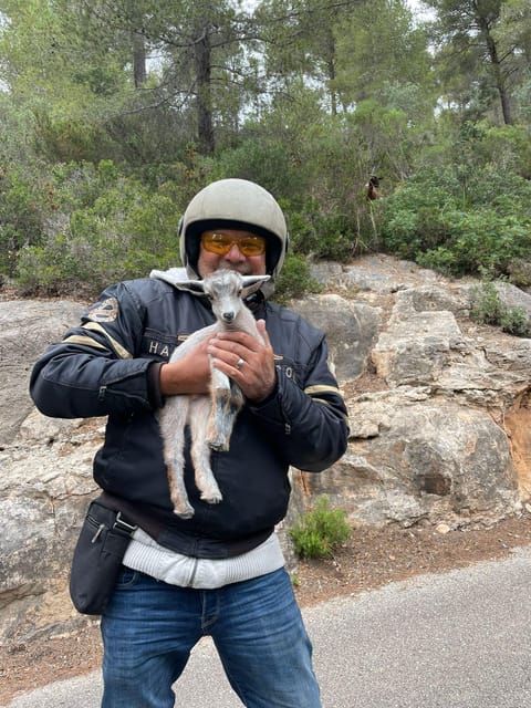 V8 Trike Tour mit Fahrer/Guide für max 4Gäste - Downhill to Esporles and Back Through Farms and Groves