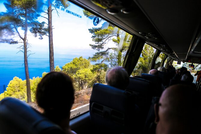 Valldemosa and Valley of Soller Tour in Mallorca - Valldemossa: cobbled streets, coffee breaks, and Chopin vibes