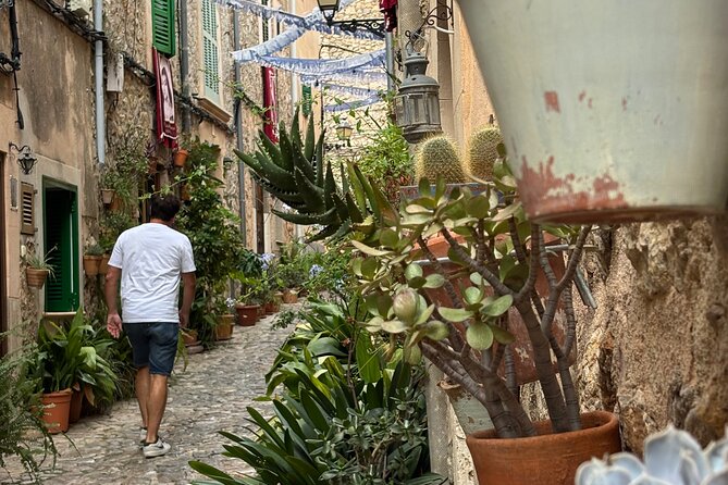 Valldemossa Tour and its Most Beautiful Viewpoints Easy Hike - Small Group Size and Guide Skills That Make the Day Flow
