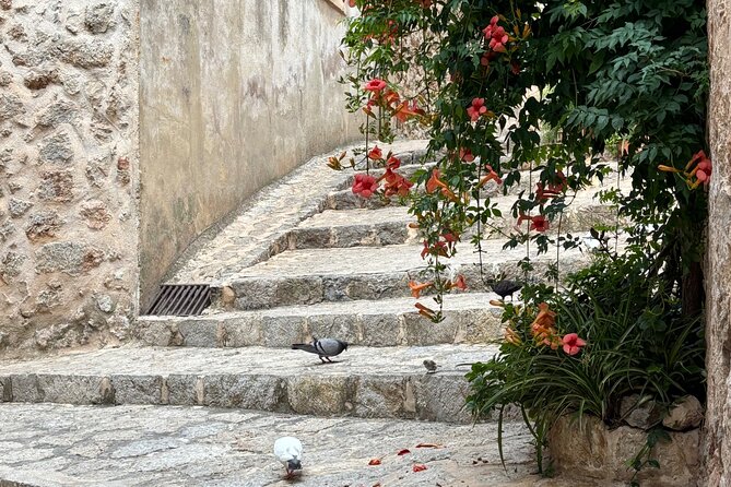 Valldemossa Tour and its Most Beautiful Viewpoints Easy Hike - Price and Value for a 4-Hour Mallorca Half Day