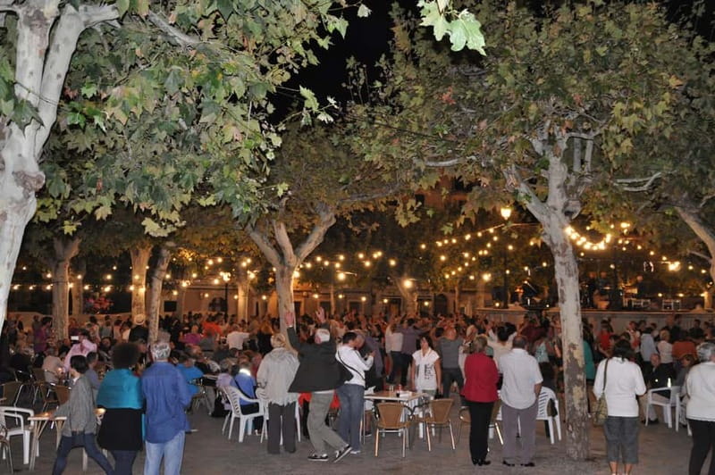Vermar Wine Festival in Binissalem - Who should book this tour